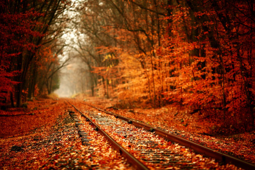 664519 (a): :1920x1280
